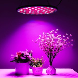Niello Reflector LED Pflanzenlampe
